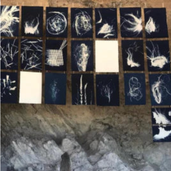 Cyanotypes by Deni Javas hanging in a grid on a rustic stone wall