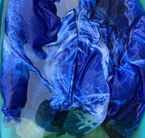 abstract nature cyanotype print in process, in water bath