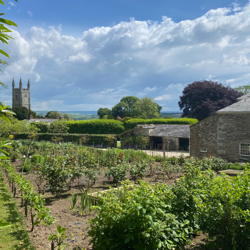 The estate of Withiel showing the grounds and a portion of the manor  house